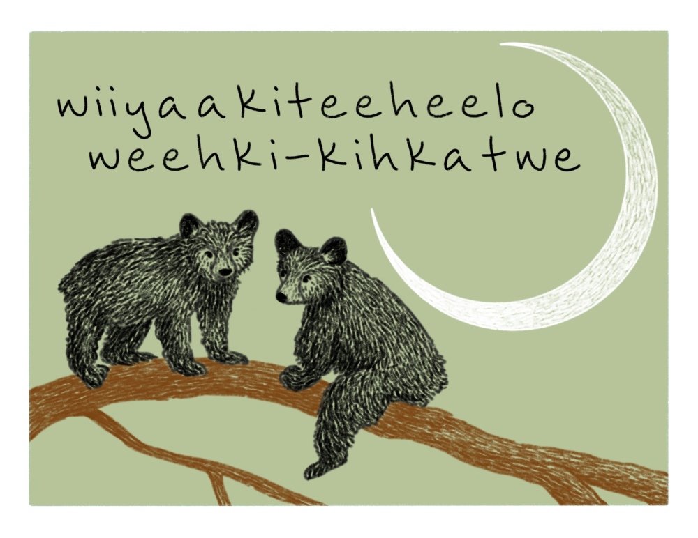 Young Black Bears on a branch with the crescent Moon and "wiiyaakiteeheelo weehki-kihkatwe"
